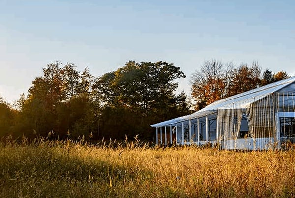 The Greenhouse at Highland Farm